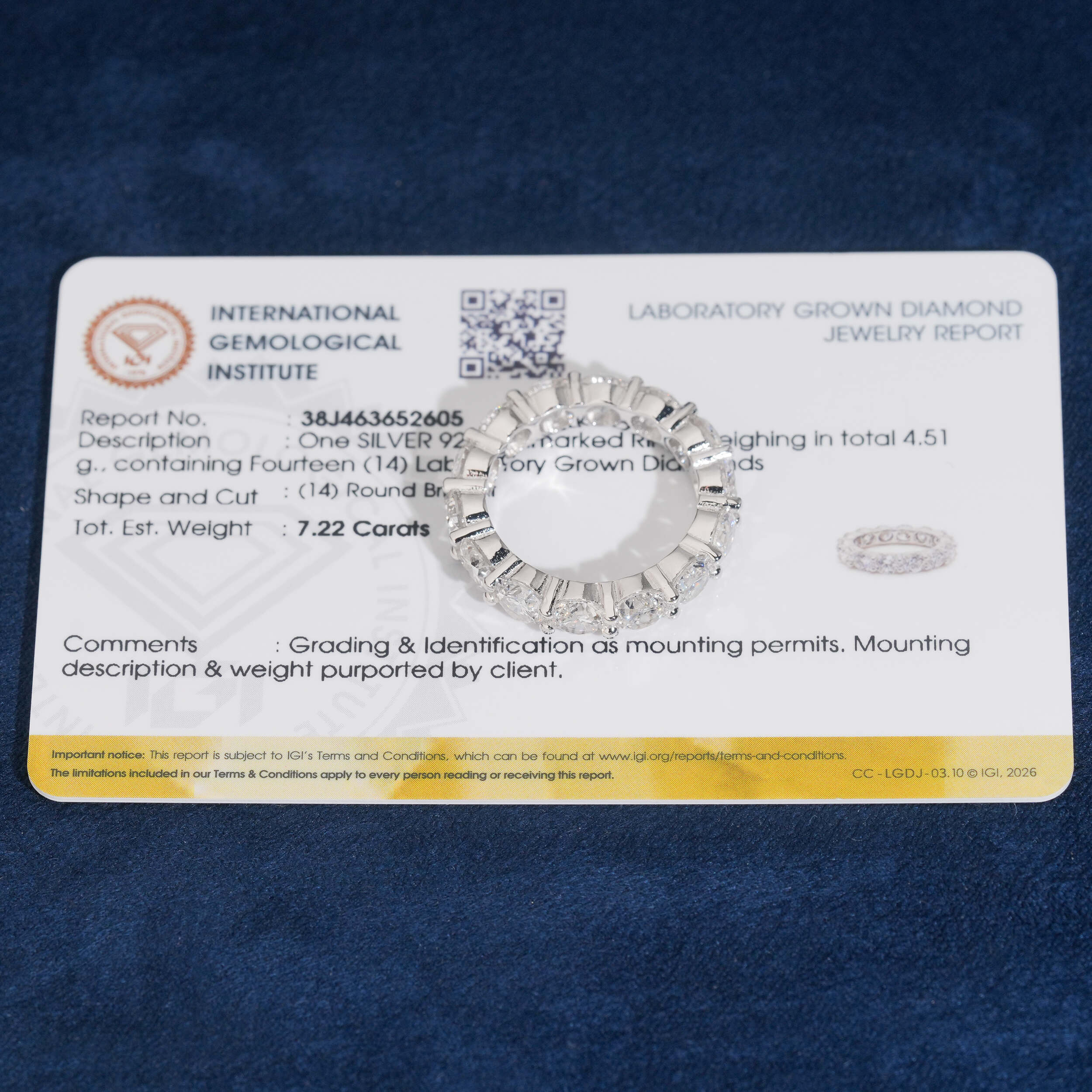 925 Sterling Silver Lab Grown Diamond 5MM Eternity Ring Band